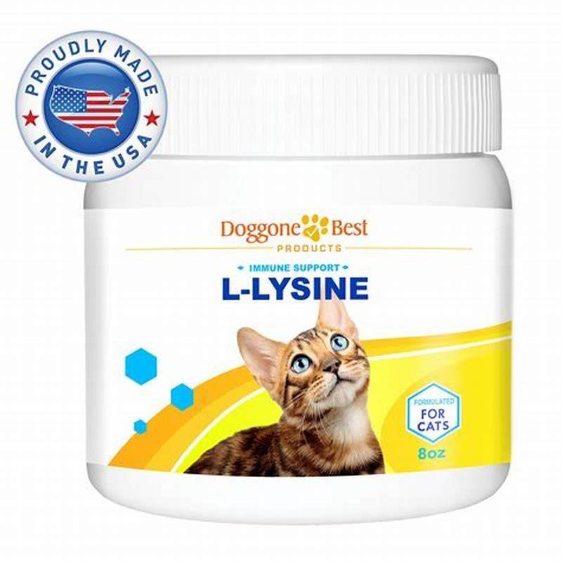 what-does-lysine-do-for-a-cat-diy-seattle