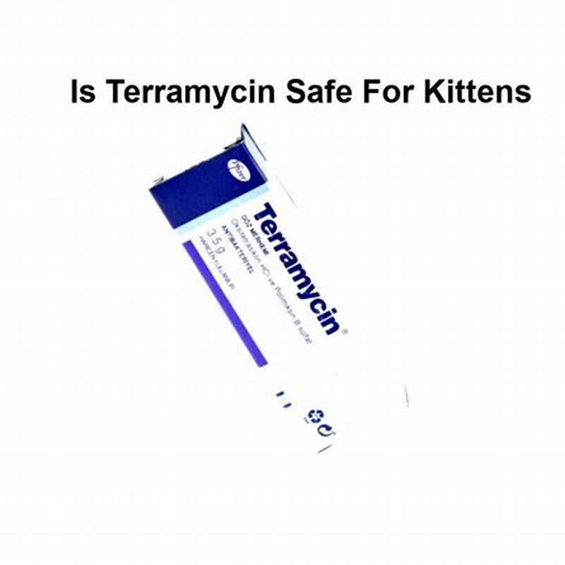 What does Terramycin do for cats? DIY Seattle