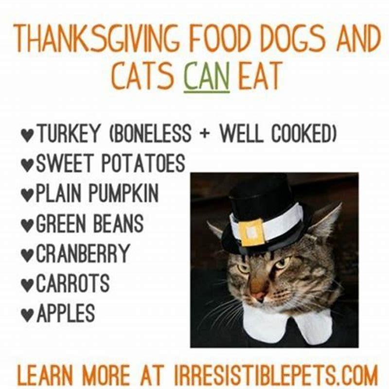 What foods are irresistible to cats?
