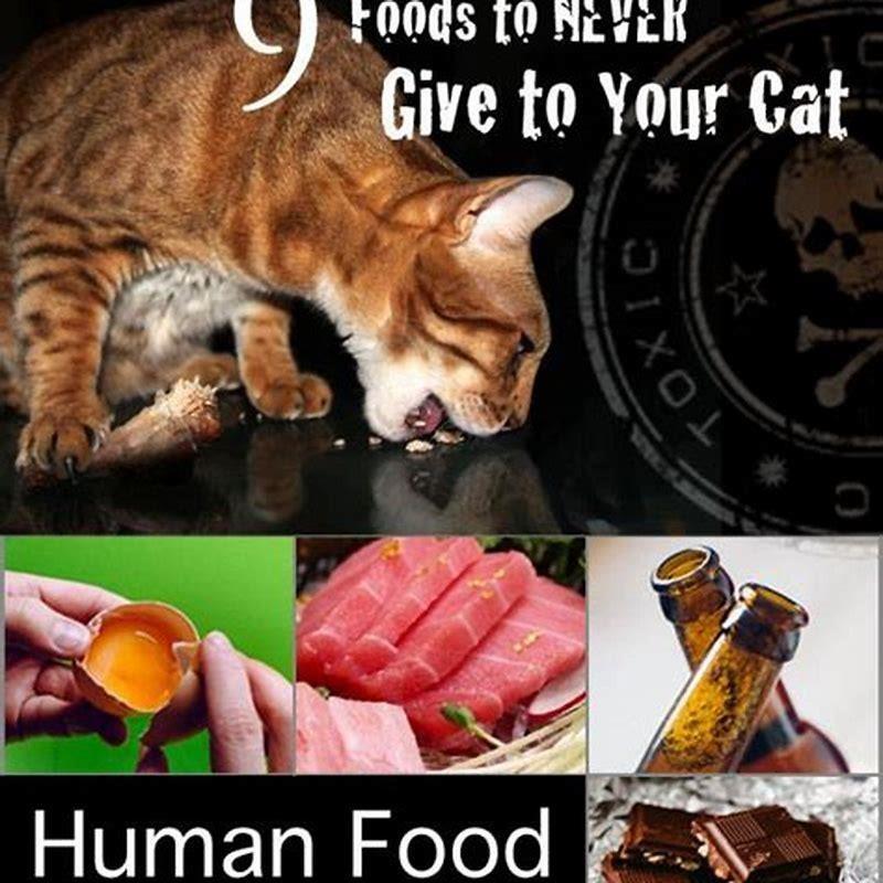What foods are toxic for cats?