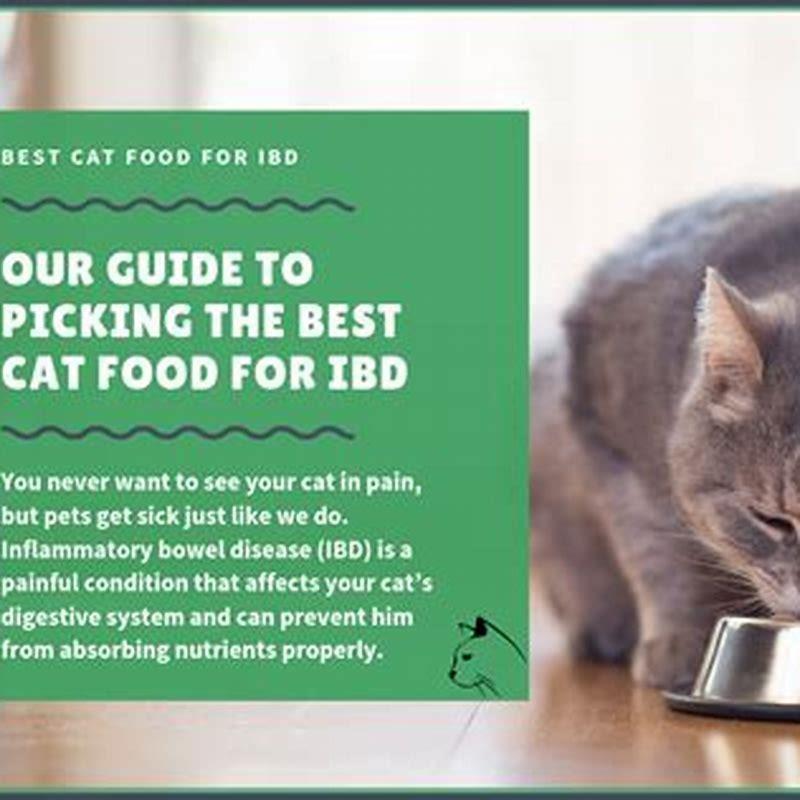 What is the best food for a cat with hyperthyroidism?