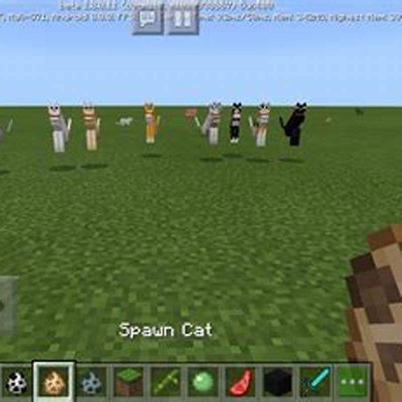 what-is-the-easiest-way-to-tame-a-cat-in-minecraft-diy-seattle