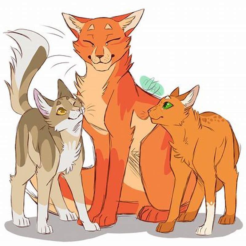 What order do I read warrior cats in?