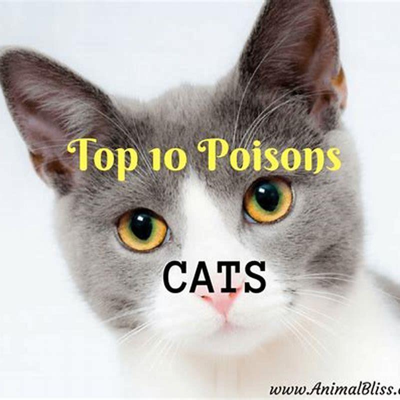 What toxins kill cats?