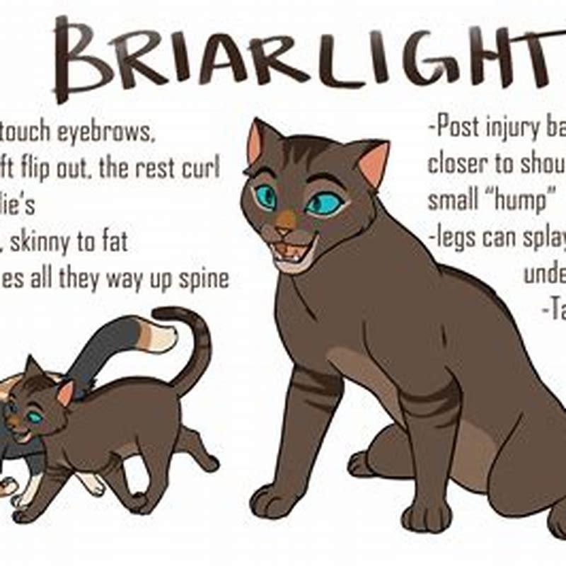 Who is the main writer of warrior cats?