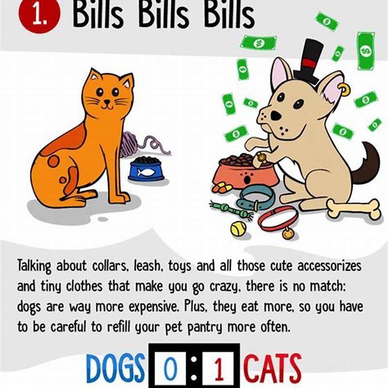 Why are dog better than cats?