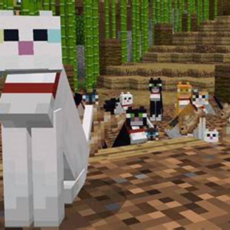 how-to-tame-a-cat-in-minecraft-dexerto