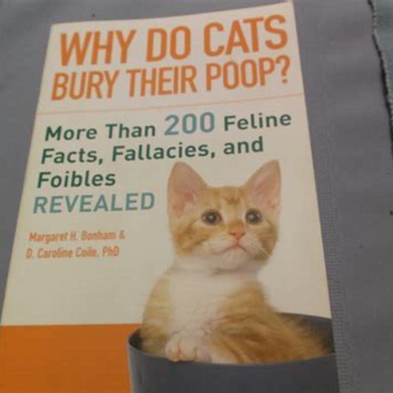Why does my cat bury my other cats poop?
