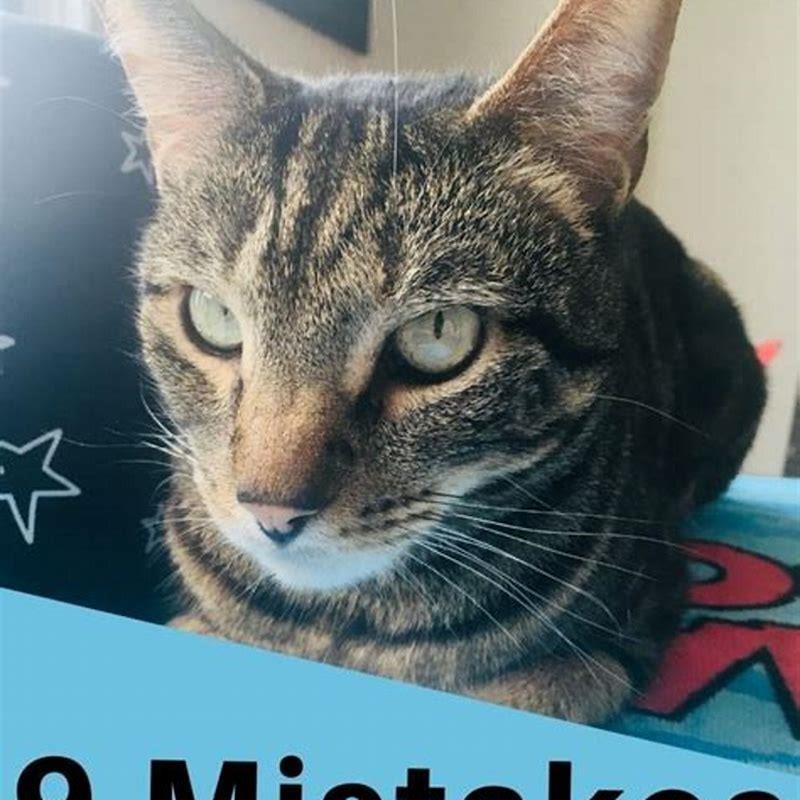 Why does my cat flatten his ears when I pet him?