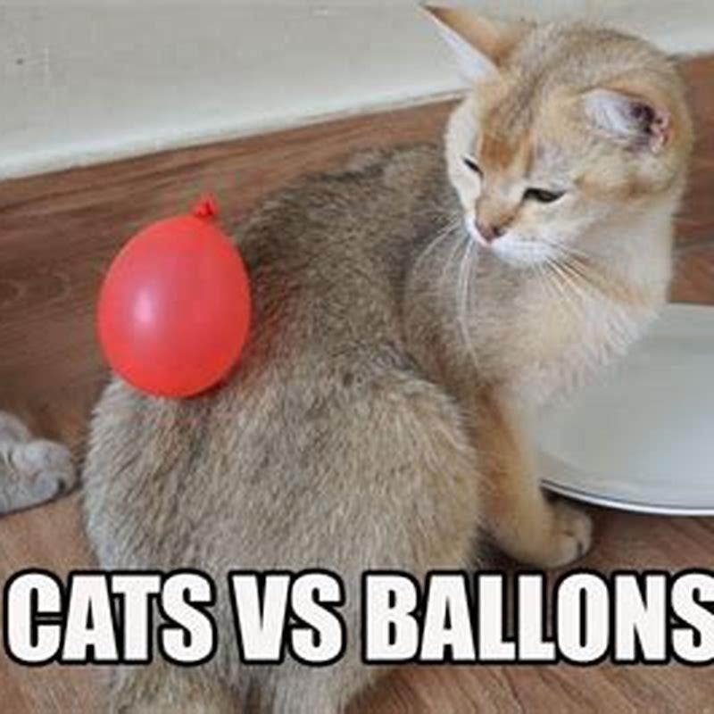 Are balloons harmful to cats?