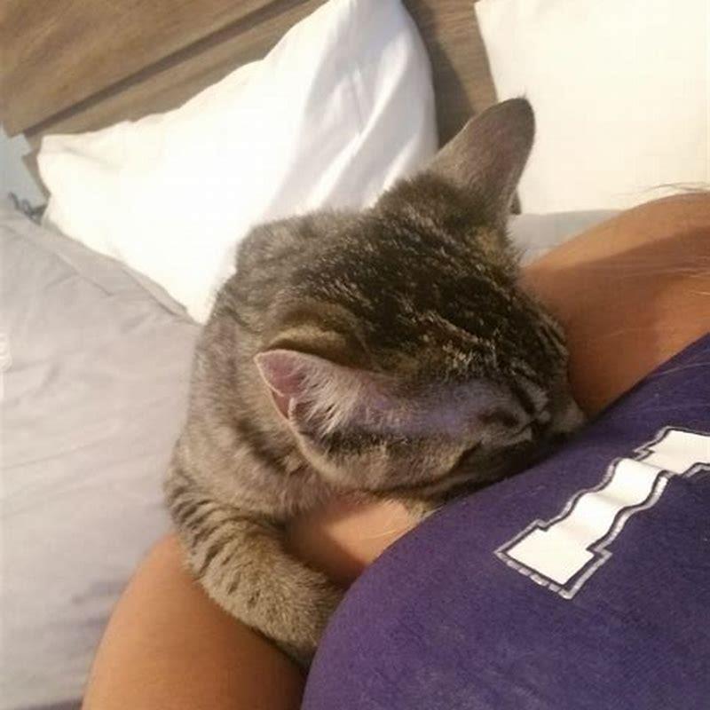 Can I leave my cat for a month?