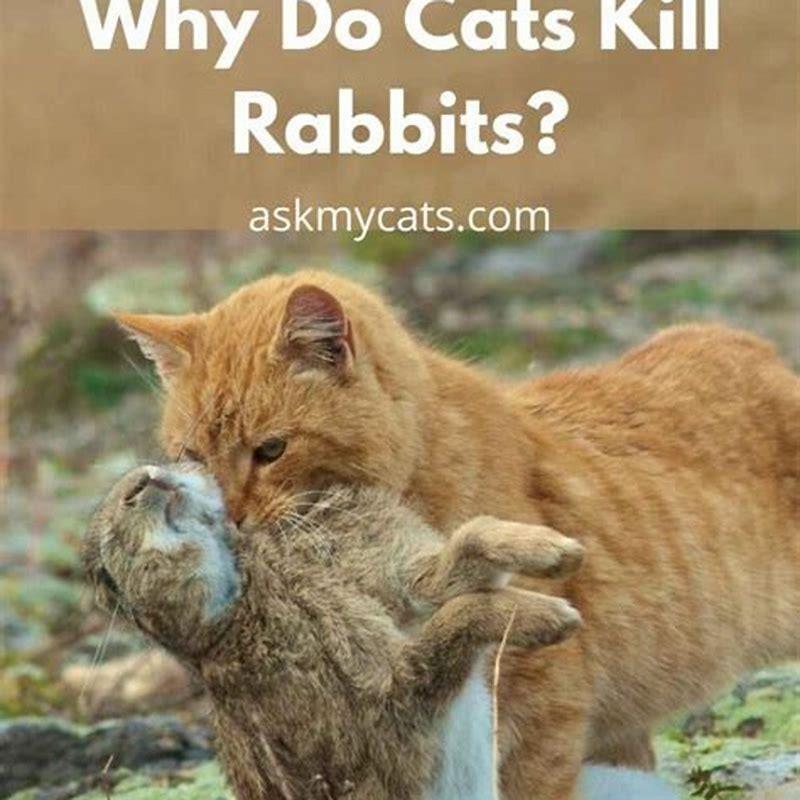 Do any cats eat other cats?