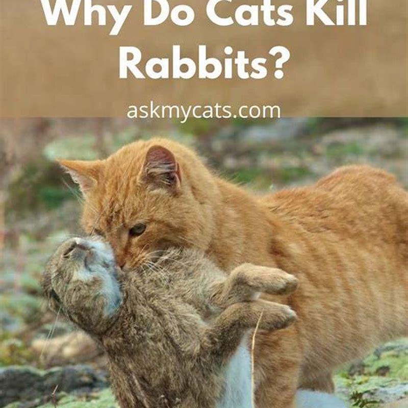 Do cats eat other dead cats?