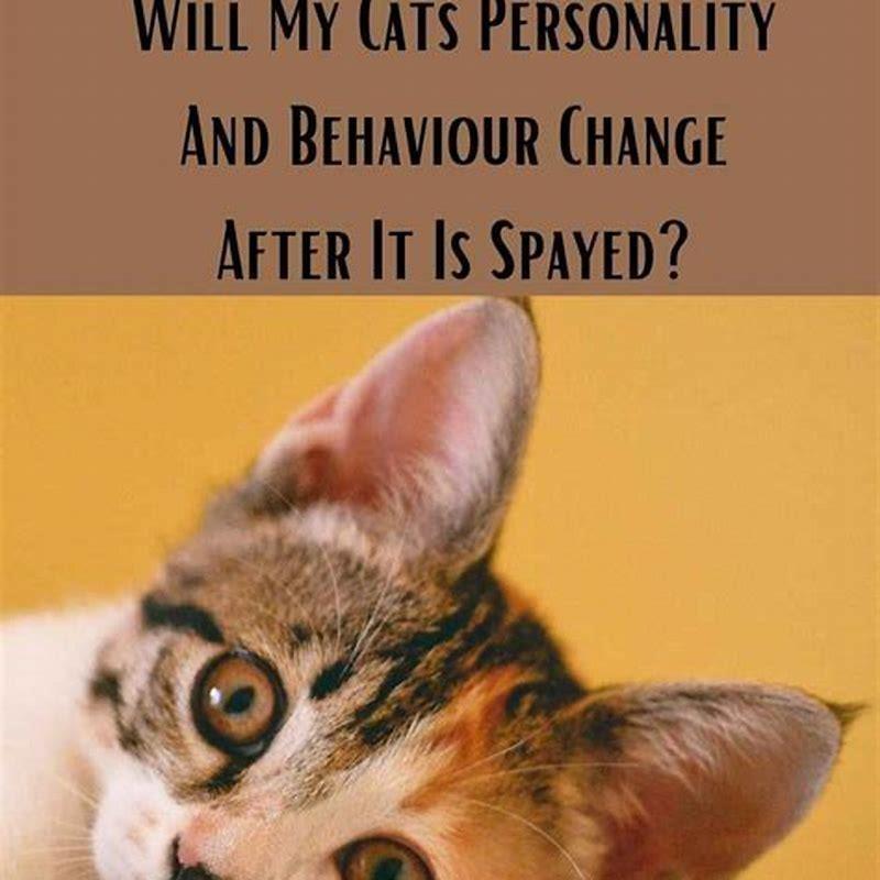 Do cats get nicer with age?