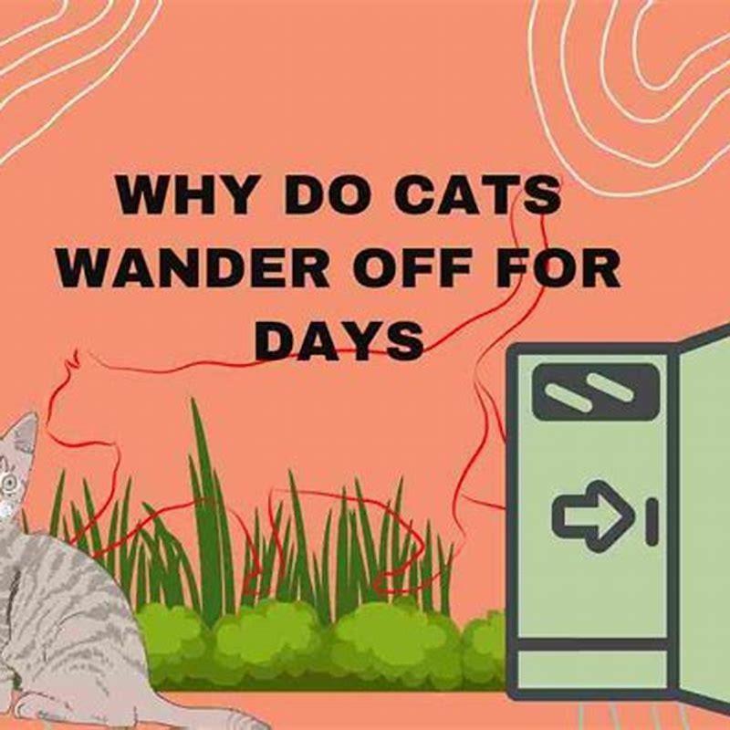 Do cats wander off for days?
