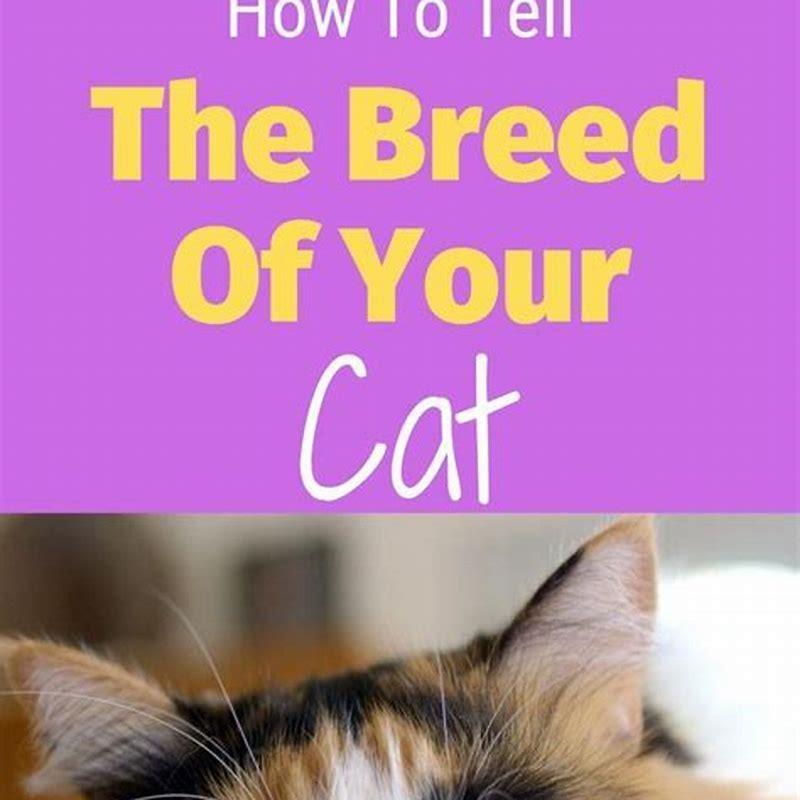 how-do-i-get-my-cats-to-breed-diy-seattle