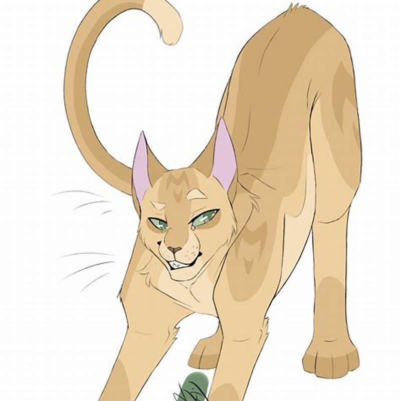 How do you draw warrior cats better?