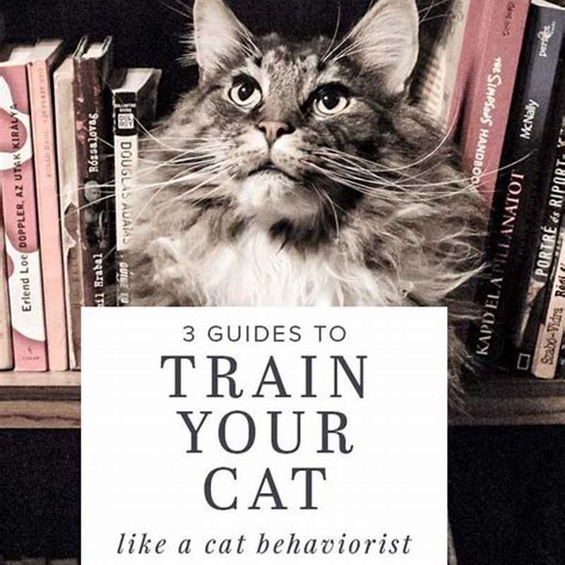 How do you integrate a cat quickly?