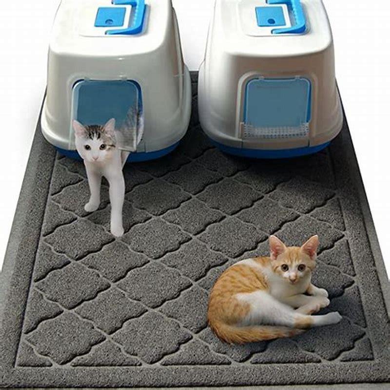 How do you keep cats from tracking litter?