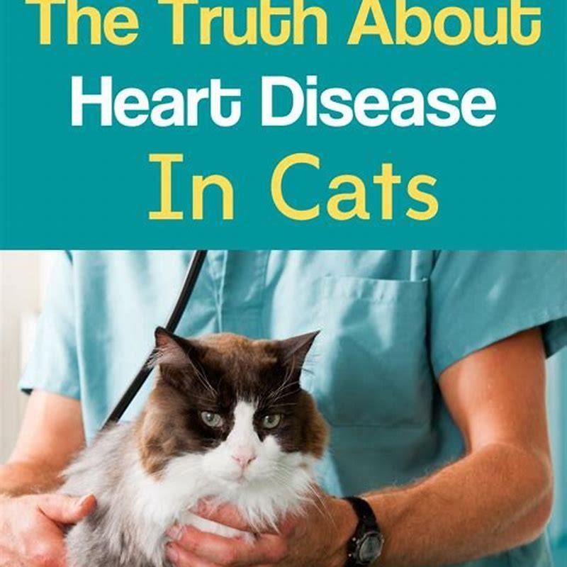 How Do You Know If Your Cat Has Heart Failure