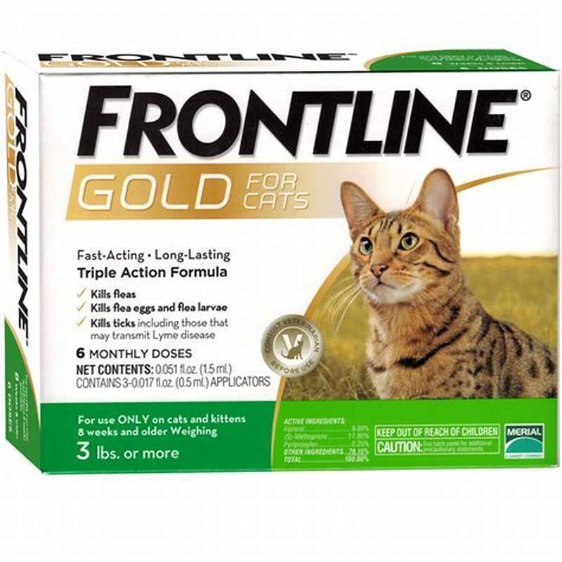 How fast does FRONTLINE Gold work on cats? DIY Seattle