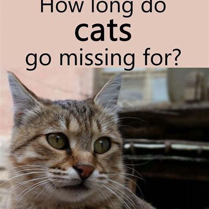 How long do cats usually go missing for?