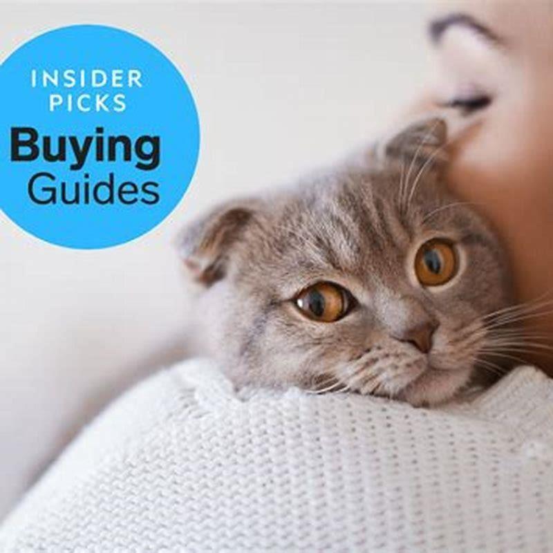 How long does dewormer last?