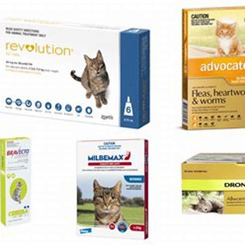 How long does it take to get rid of roundworms in cats? DIY Seattle