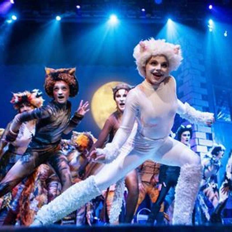 How many Cats are in CATS the musical?