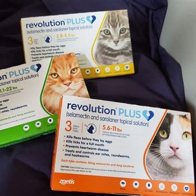 How Quickly Does REVOLUTION PLUS Work DIY Seattle how-quickly-does-revolution-plus-work-diy-seattle