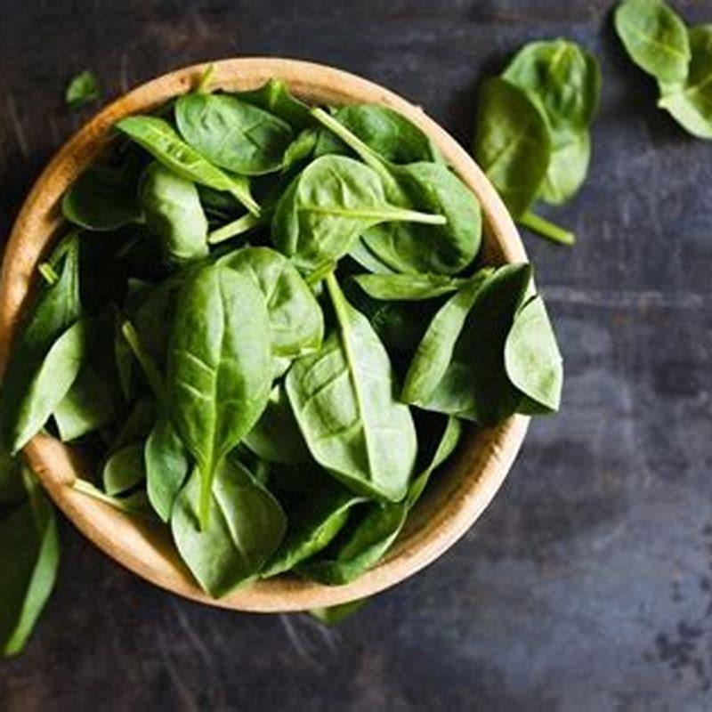 Is basil toxic to cats?