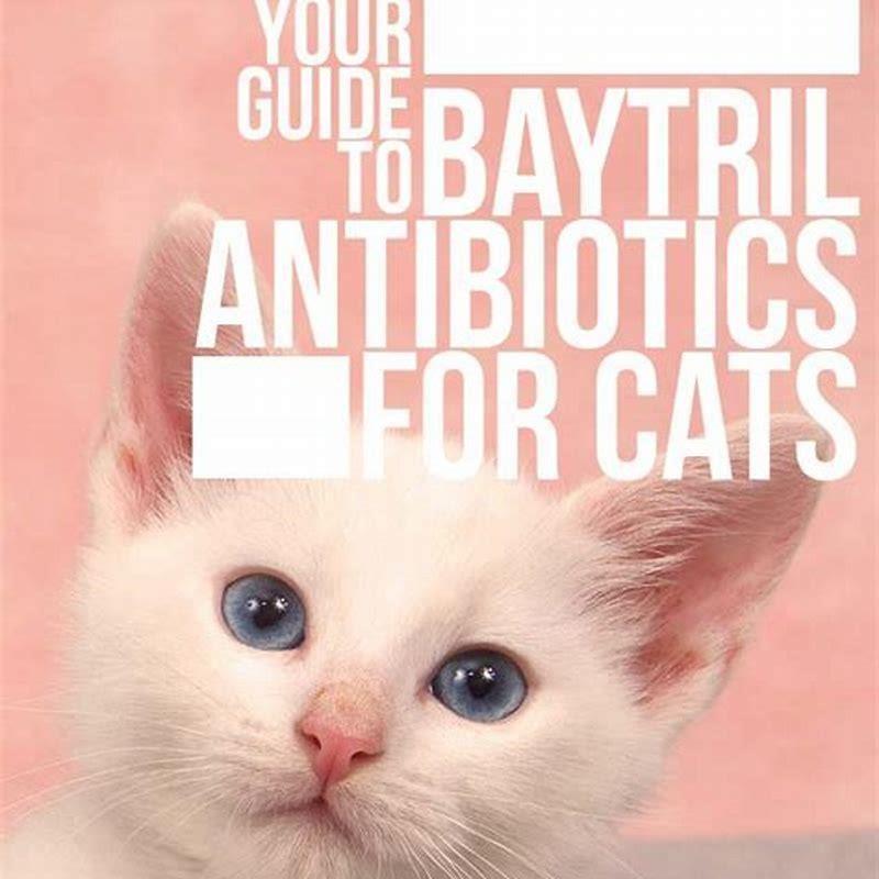 Is Baytril a strong antibiotic?