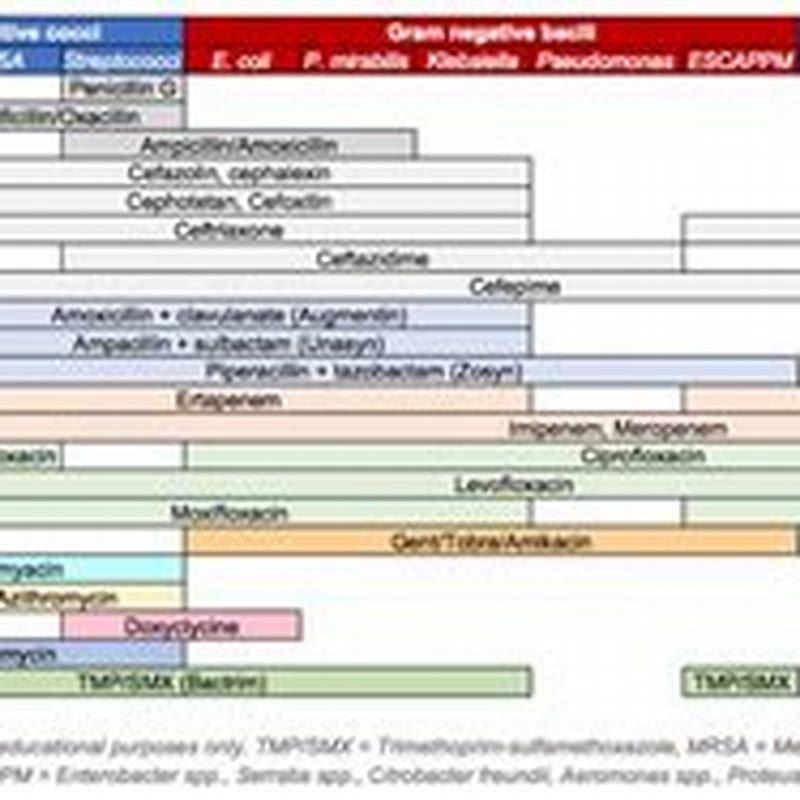 Is Convenia a broad spectrum antibiotic?