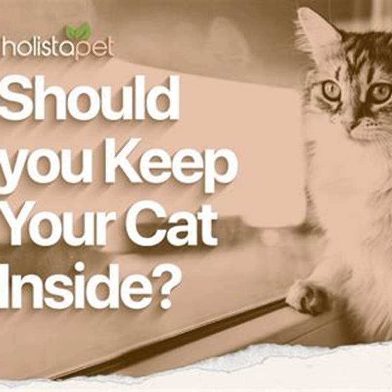 Is it cruel to keep a cat outside?