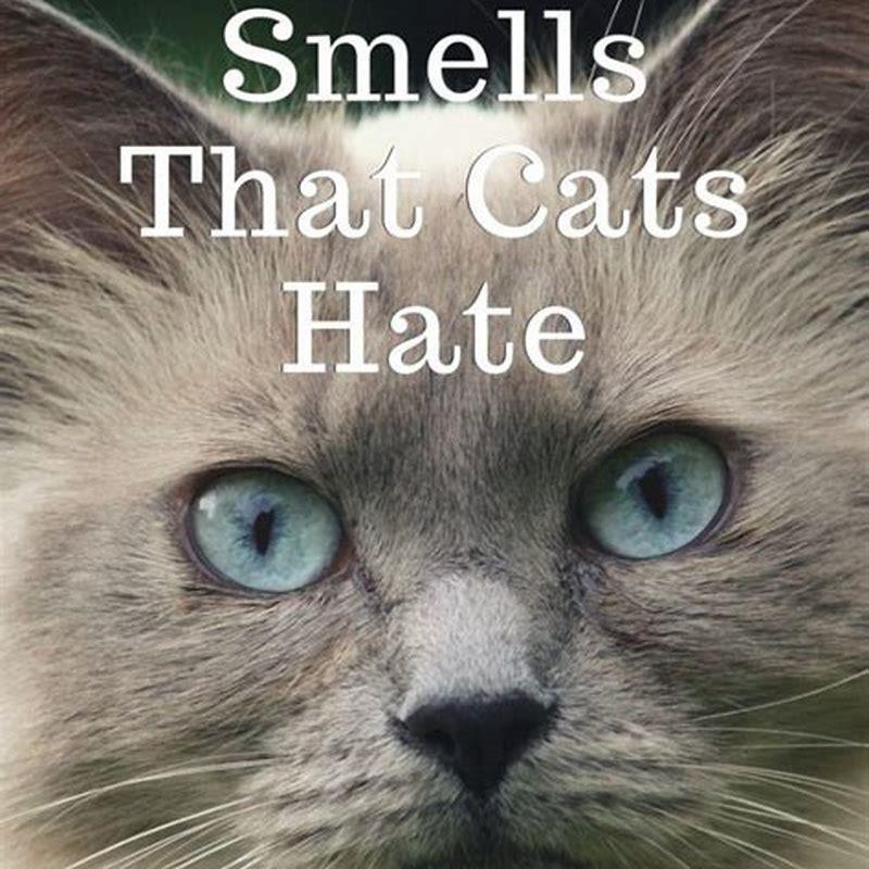 Is there a smell that cats hate?