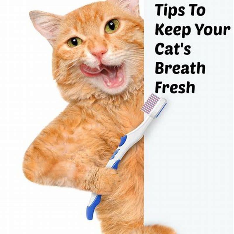 What can I give a cat that has bad breath?