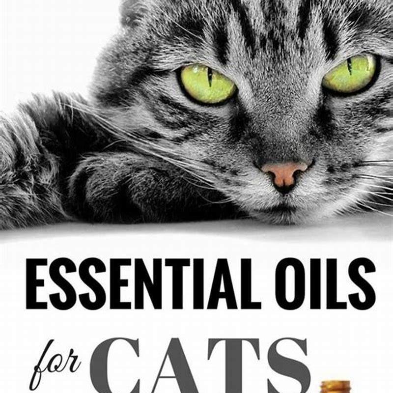 What essential oils drive cats away?