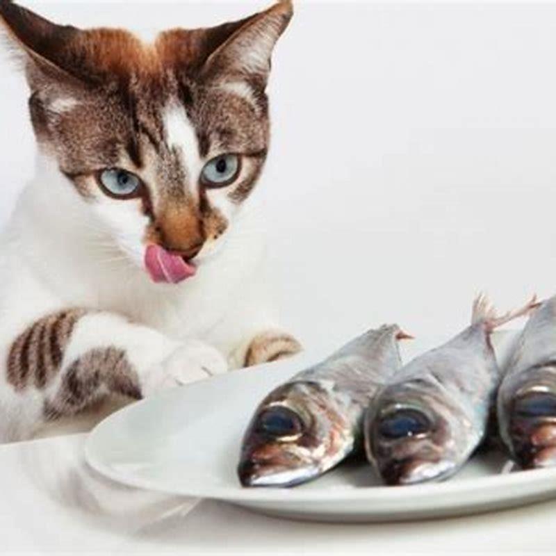 what-fish-can-cats-not-eat-diy-seattle