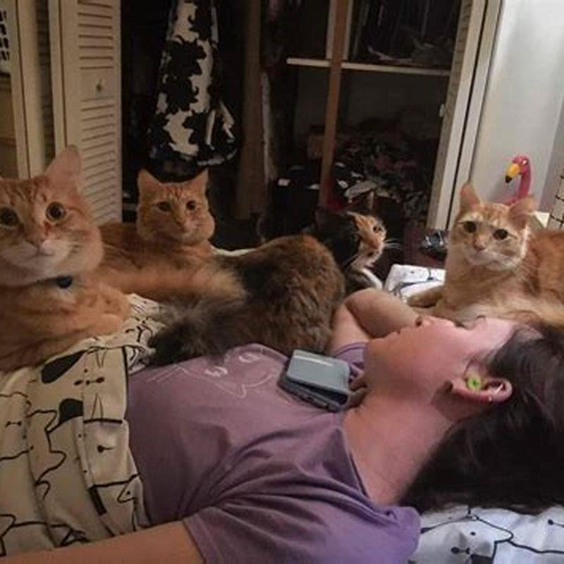 What happens when you sleep with a cat?
