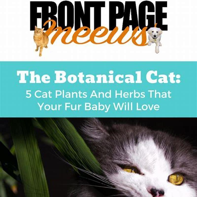 What herbs can I grow around cats?