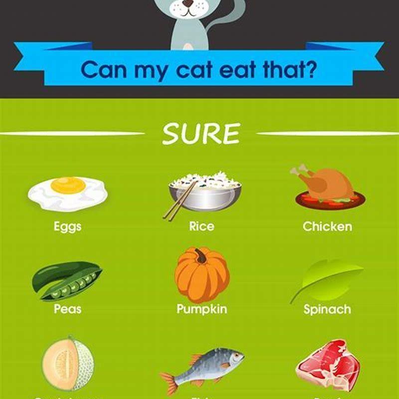 what-human-foods-can-cats-eat-diy-seattle
