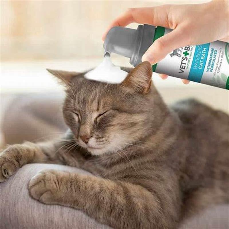 what-if-my-cat-licks-flea-treatment-diy-seattle