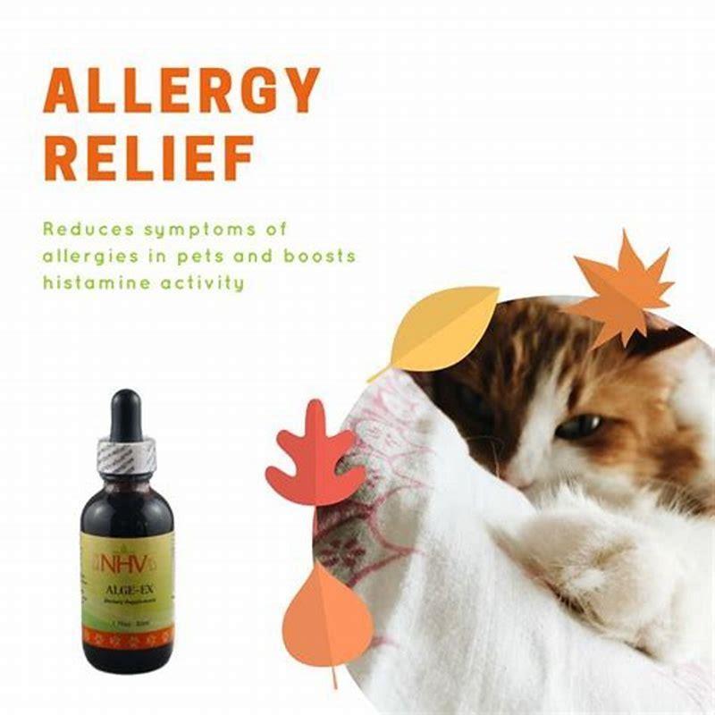 What is a natural remedy for cat allergies?