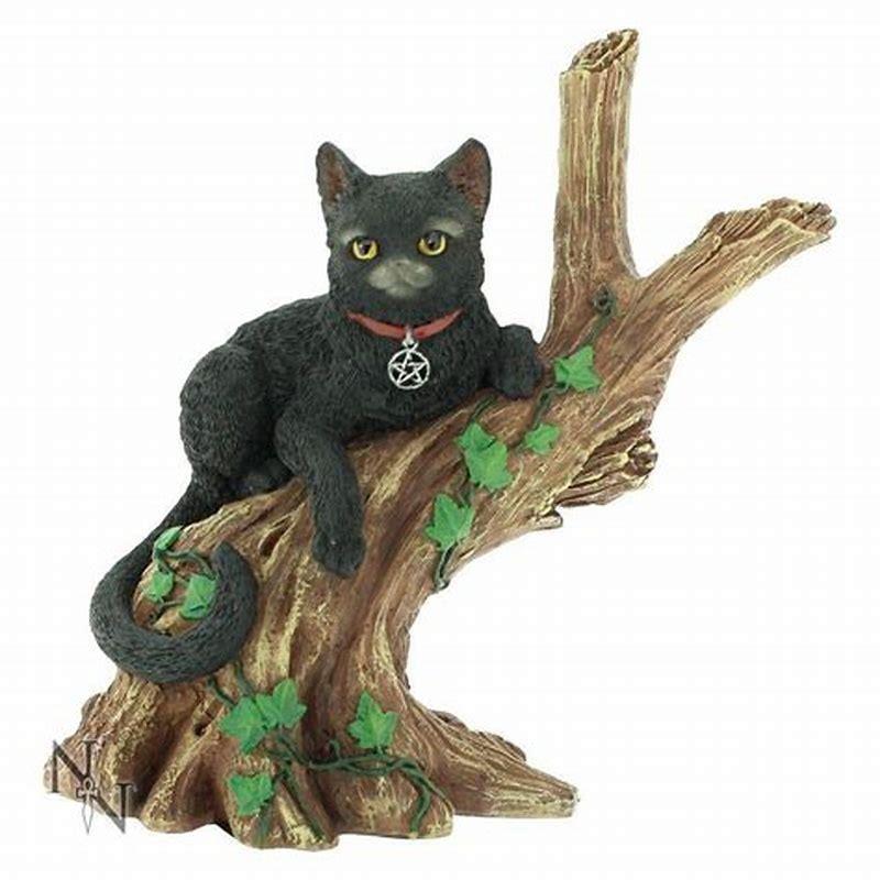 What is it called when a witch has a cat?
