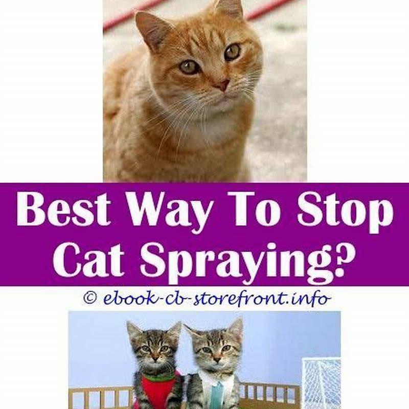 What scent deters cats from spraying?