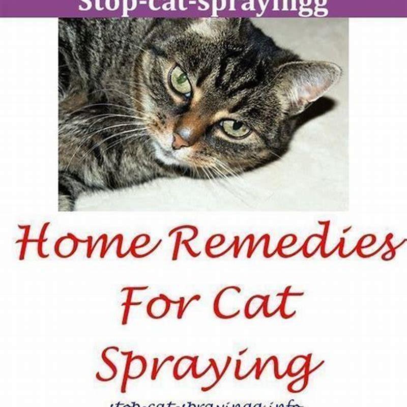 What smell keeps a cat away?