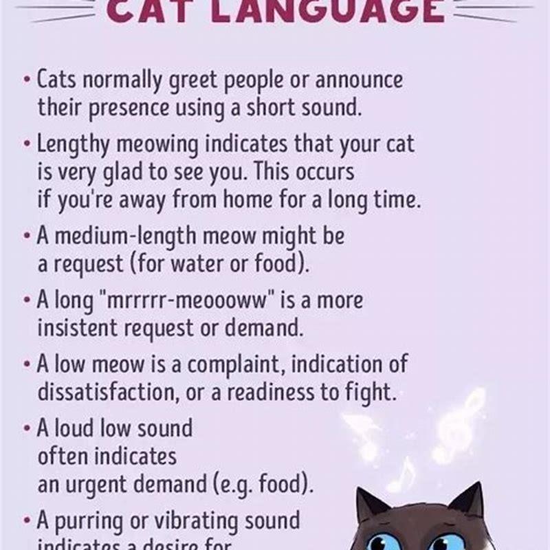 What words can cats understand?