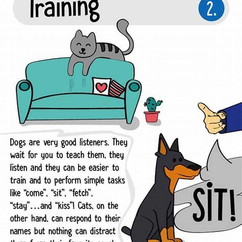 Why Cats Are Better Than Dogs Paragraph 