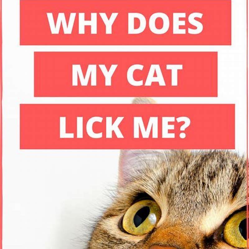 Why do cats bite each others faces?