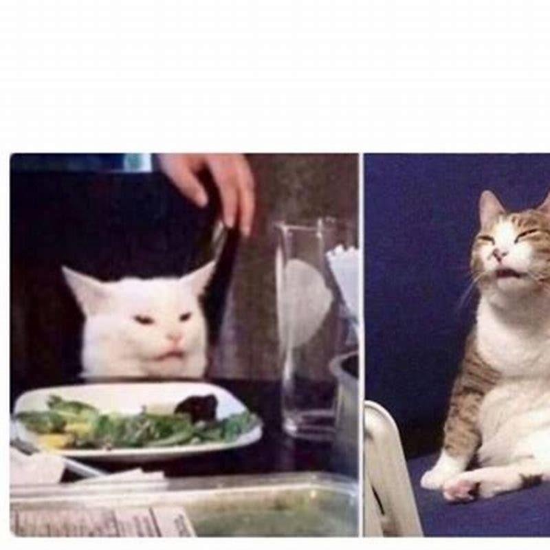Why do cats like being smacked?